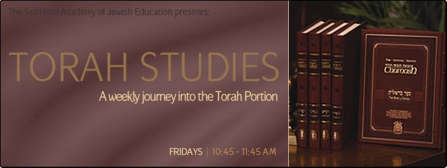 Weekly Torah Studies | Join Today!